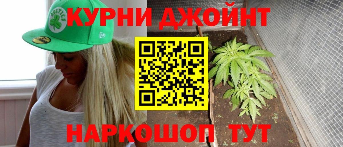 Новоалтайск  Шишки марихуана план  Шишки марихуана White Widow  Бошки Шишки индика  Вход с VPN  МАРИХУАНА конопля 